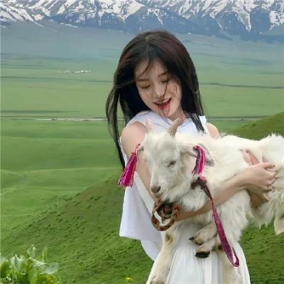 吹牛伯爵历险记
